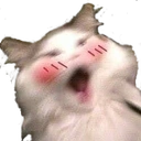 Flushed static emote for Discord, Twitch and Slack