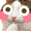 flushedCat emote for Discord