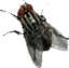 Fly emote for Discord