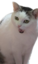 floeckchen emote for Discord