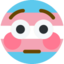 FlushedTrans emote for Discord