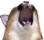 FloppaScream emote for Discord