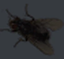 flyboy2 emote for Discord