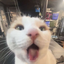 flabbergasted emote for Discord