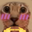 flushok emote for Discord