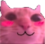 flushedCat emote for Discord