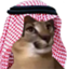 floppaHabibi emote for Discord