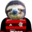 flamengoSloth emote for Discord