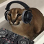 floppaDJ emote for Discord