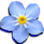 fleurbleue7777 emote for Discord
