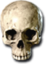 FlawlessSkull emote for Discord