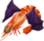 flyingShrimp emote for Discord