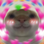 flushC emote for Discord