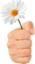 flowerR emote for Discord