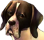 Flint emote for Discord