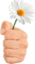 flowerL emote for Discord