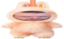 flabubu emote for Discord