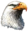 FREEDOM emote for Discord