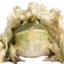 FroogyBlonde emote for Discord