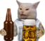 frisoCATbeer emote for Discord