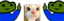 fricckat emote for Discord