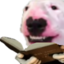 frfrDogO emote for Discord