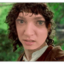 Frodo emote for Discord