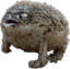 frogAngry emote for Discord
