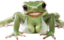 FrogBooba emote for Discord