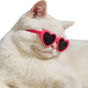 frajisek static emote for Discord, Twitch and Slack