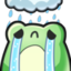 FrogSad emote for Discord
