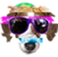 FrankerCool emote for Discord