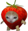 frutigato emote for Discord