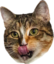 FrejaMlem emote for Discord