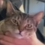 FreyaJudge emote for Discord