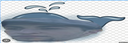 FreshWhale static emote for Discord, Twitch and Slack