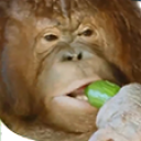 freddie static emote for Discord, Twitch and Slack