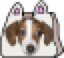 FrankerBag emote for Discord