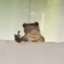 frogMiddleFigner emote for Discord