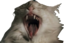FrekiNcazzatoNeroDe emote for Discord