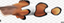 FreshFish emote for Discord
