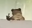 froge emote for Discord