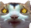 frenzydrooled emote for Discord