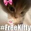 freekitty emote for Discord