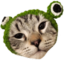 Frocat emote for Discord
