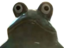 FrogStare emote for Discord