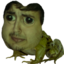 frogp emote for Discord