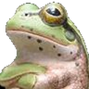Frogstanced static emote for Discord, Twitch and Slack