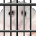 freeUTD static emote for Discord, Twitch and Slack