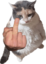 fricku2 emote for Discord